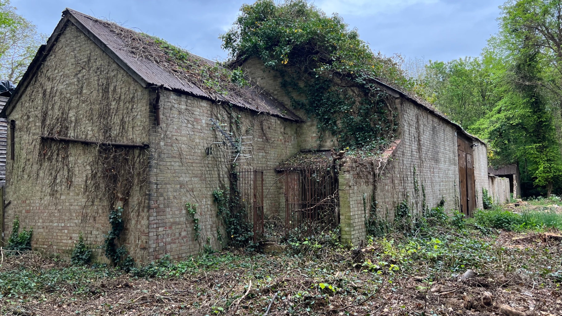 The old brick barn before restoration — ivy across the roof, brickwork dark with damp