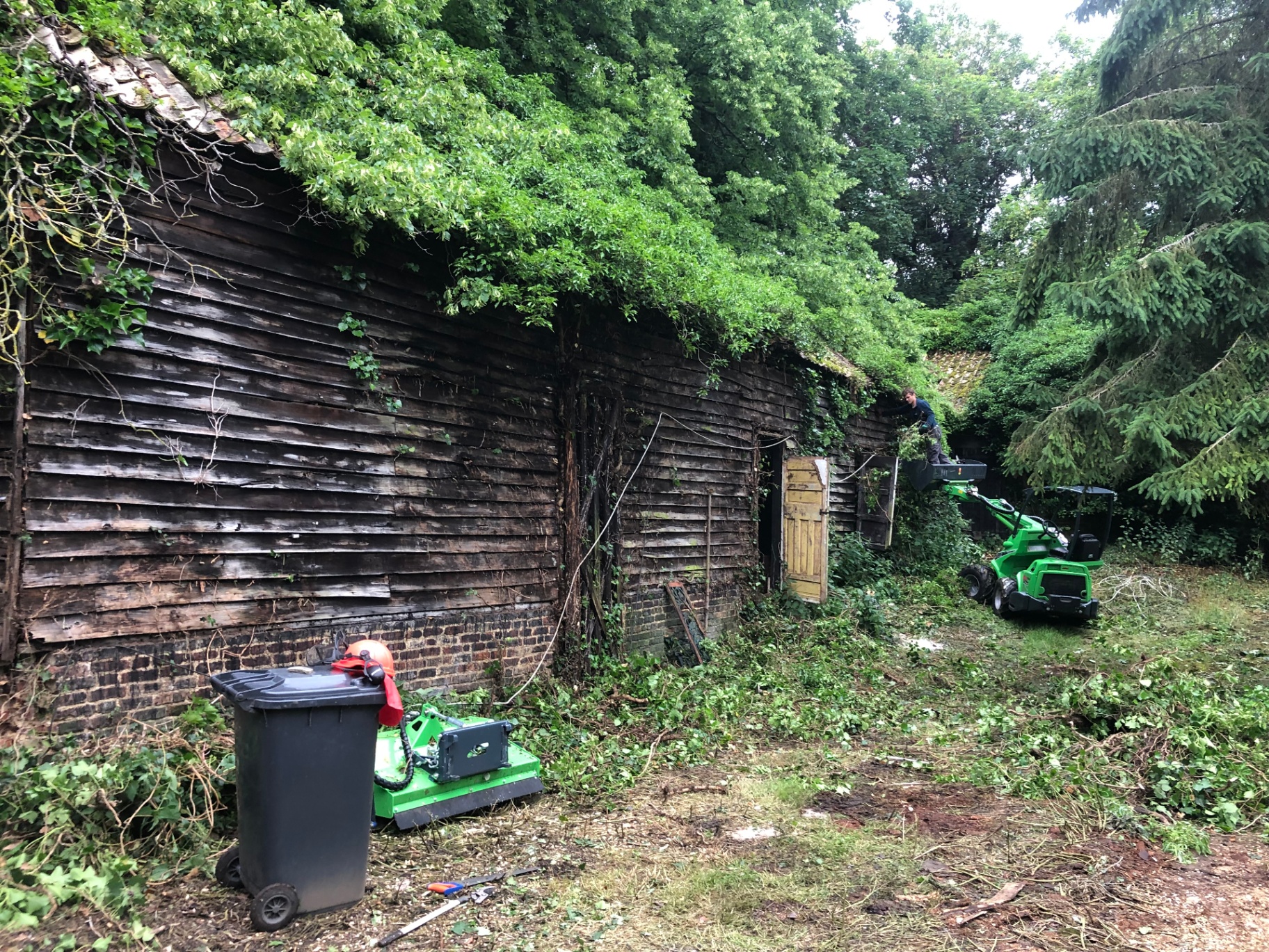 Clearing ivy from the side of a timber barn with a small tracked loader
