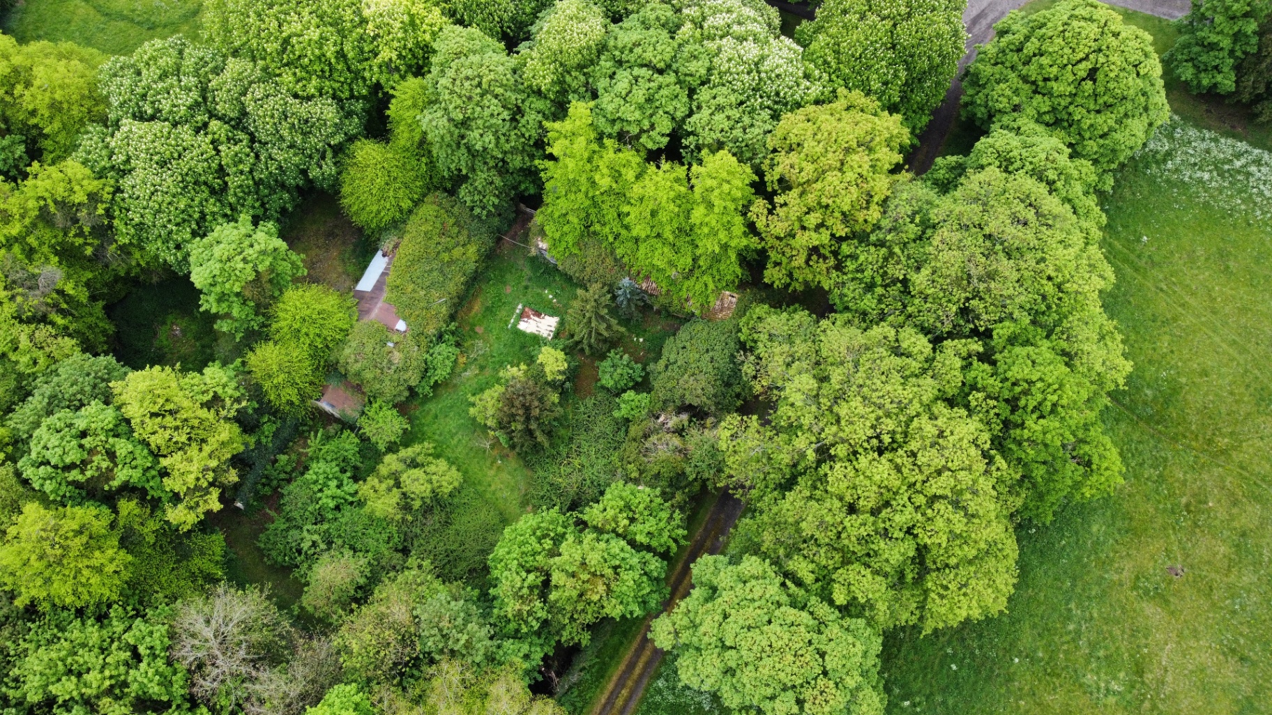 Aerial view of Abbey Farm before restoration — barns almost completely obscured by trees