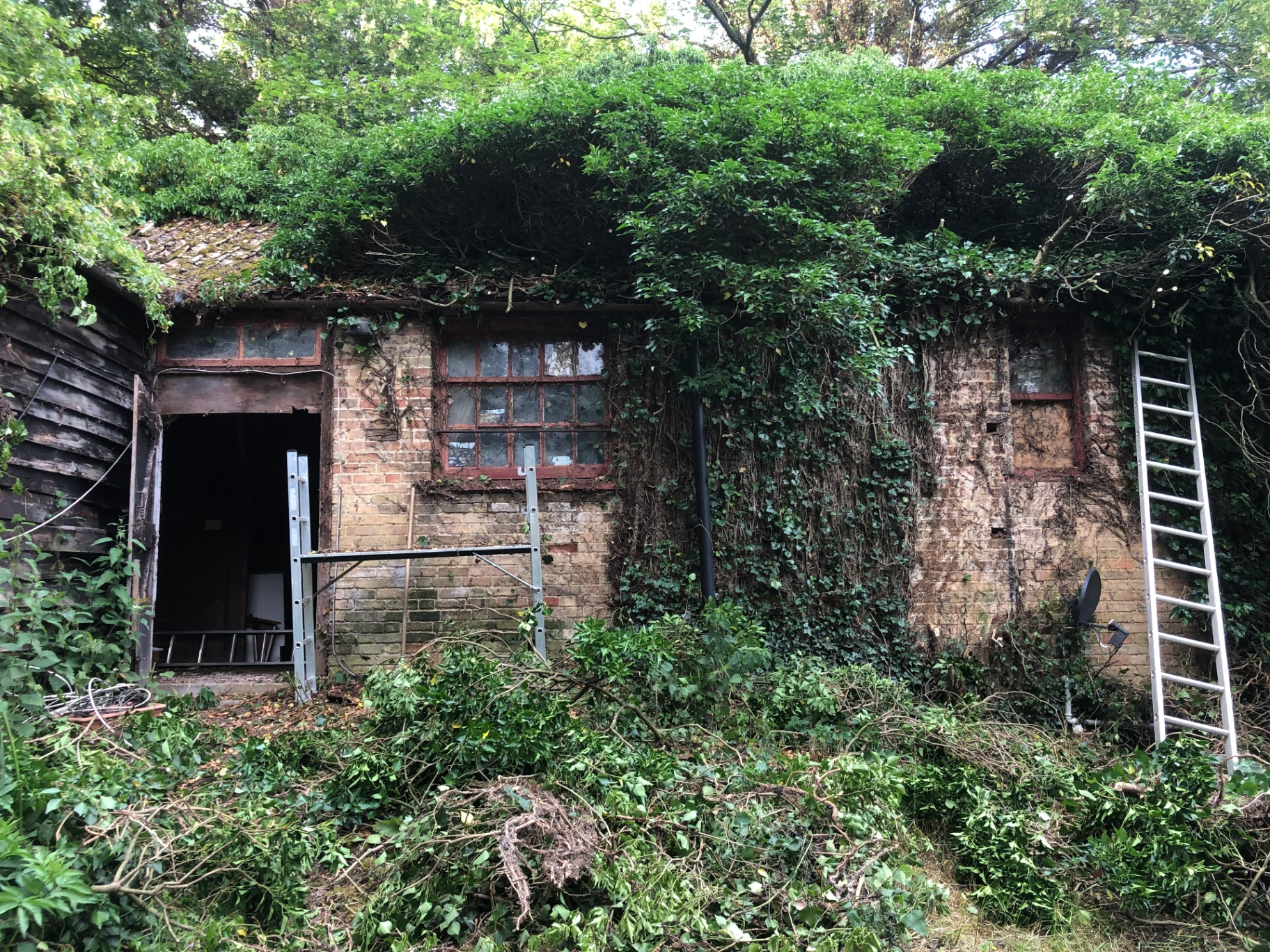 Ivy cleared away to reveal the brick and timber façade of what would become the bridle suite